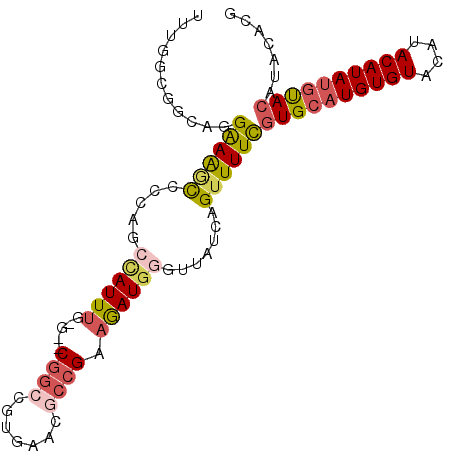 secondary structure