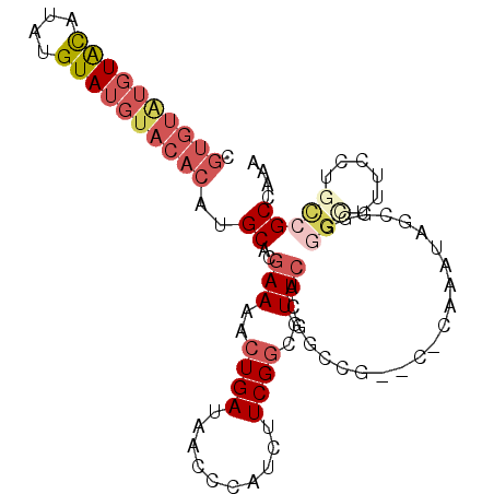 secondary structure