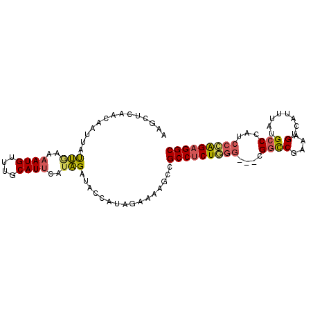 secondary structure