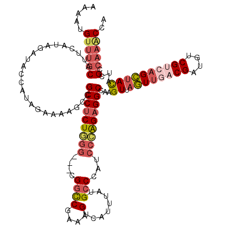 secondary structure