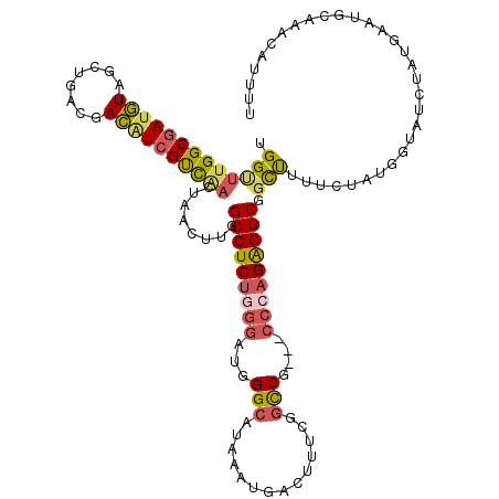 secondary structure