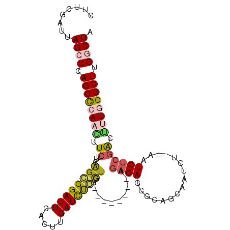 secondary structure