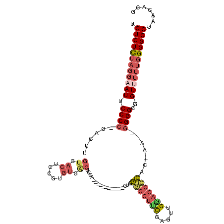 secondary structure