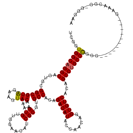 secondary structure
