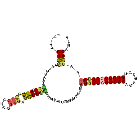 secondary structure