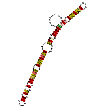 secondary structure
