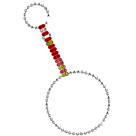 secondary structure