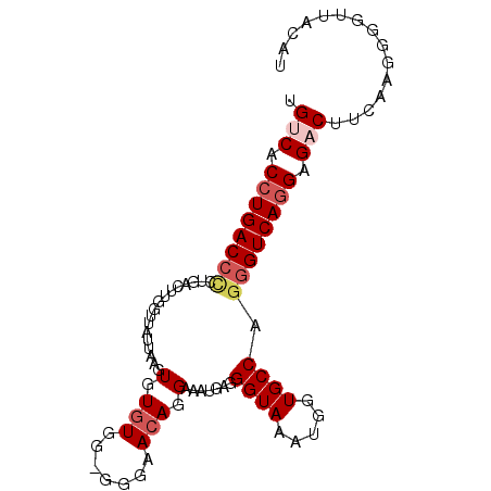 secondary structure