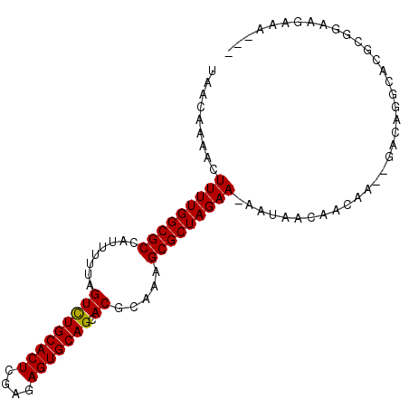 secondary structure