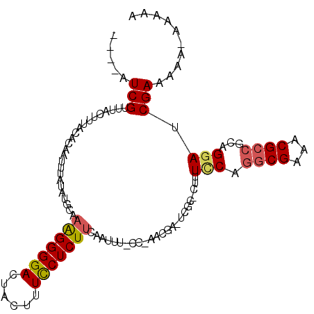 secondary structure