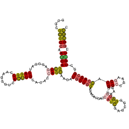 secondary structure