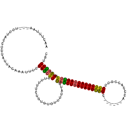 secondary structure