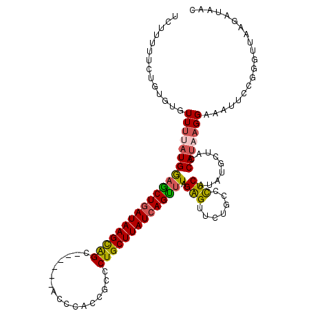 secondary structure