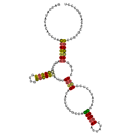 secondary structure