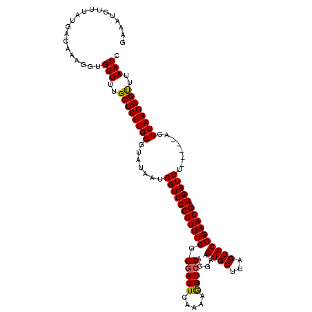 secondary structure