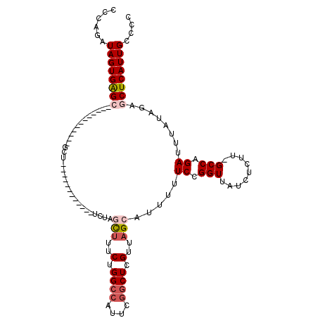 secondary structure