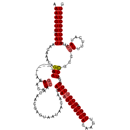 secondary structure