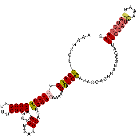 secondary structure