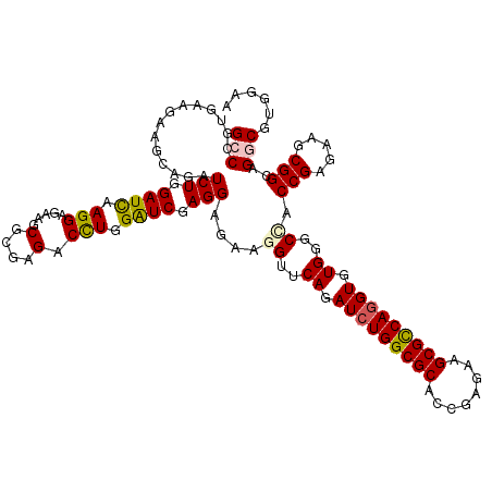 secondary structure