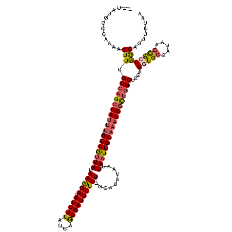 secondary structure