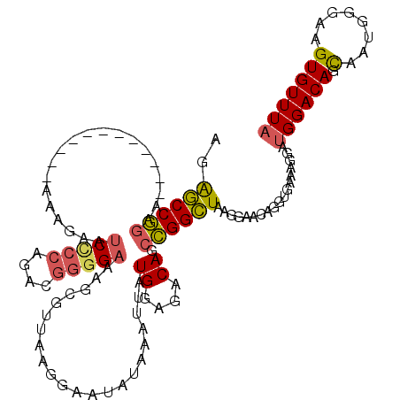 secondary structure