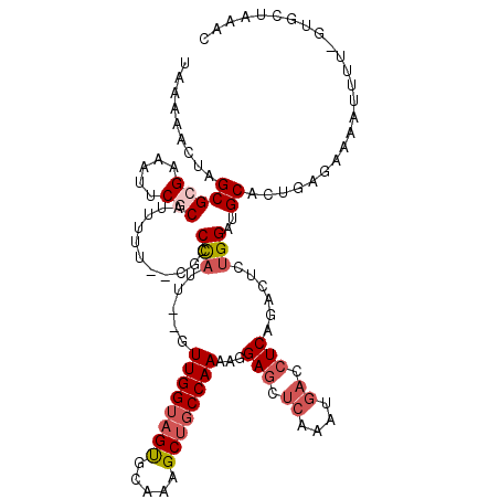 secondary structure