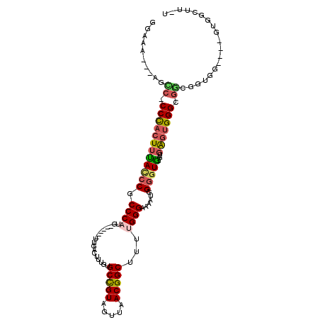 secondary structure
