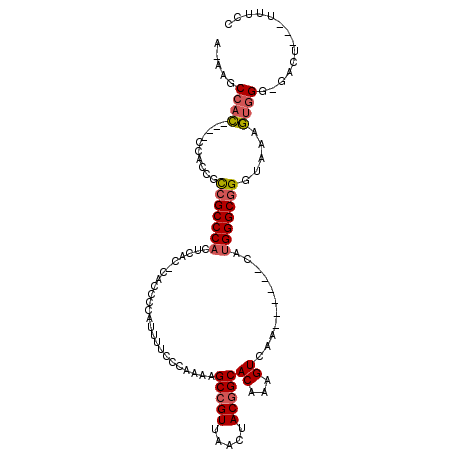 secondary structure