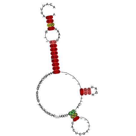 secondary structure