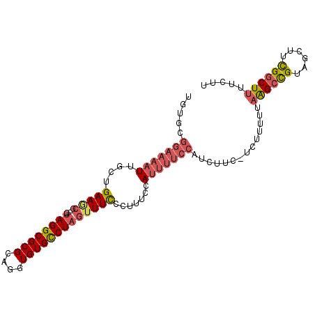 secondary structure