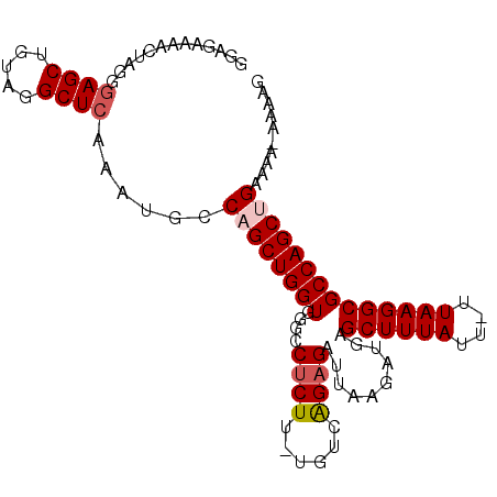 secondary structure