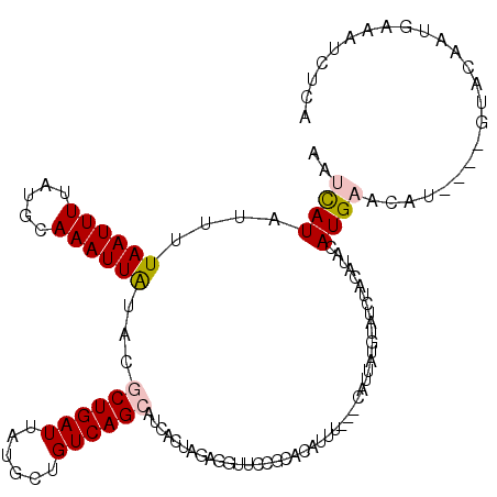 secondary structure