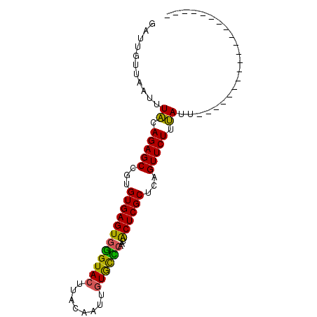 secondary structure