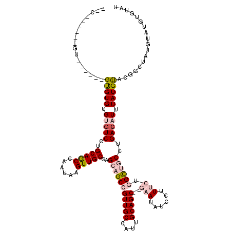 secondary structure