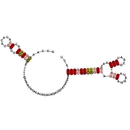 secondary structure