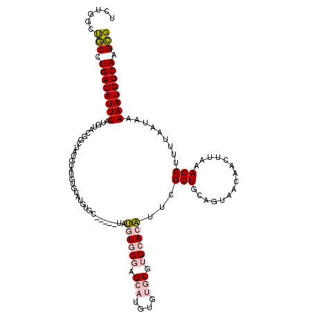 secondary structure