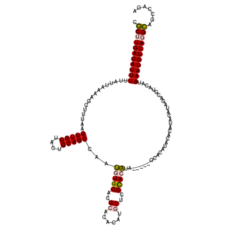 secondary structure