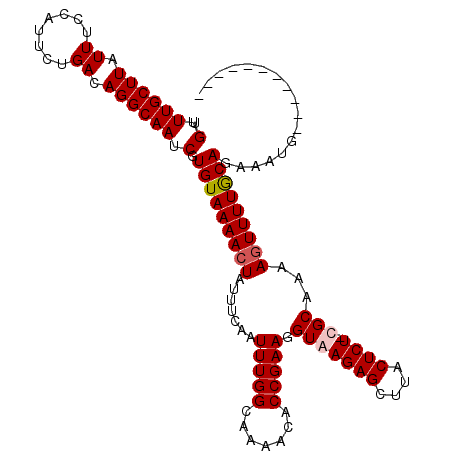 secondary structure