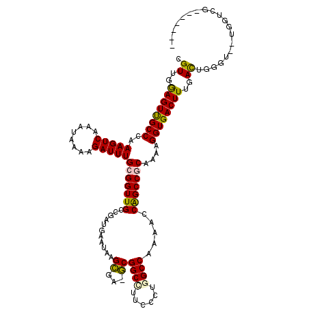 secondary structure