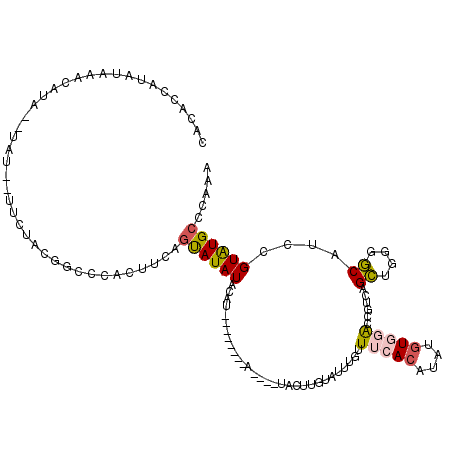 secondary structure