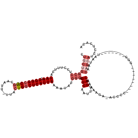 secondary structure