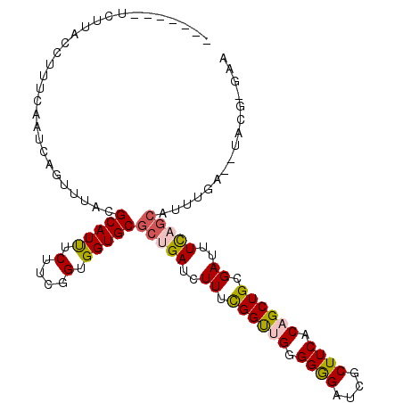secondary structure
