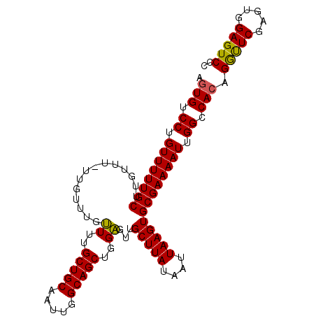 secondary structure