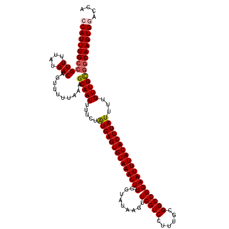secondary structure