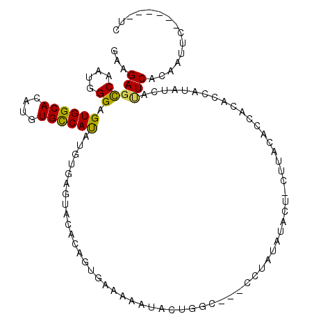 secondary structure