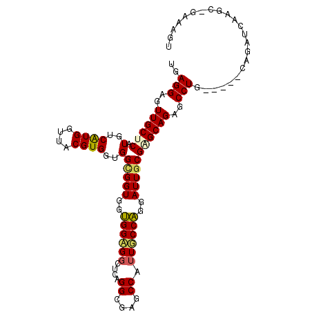 secondary structure