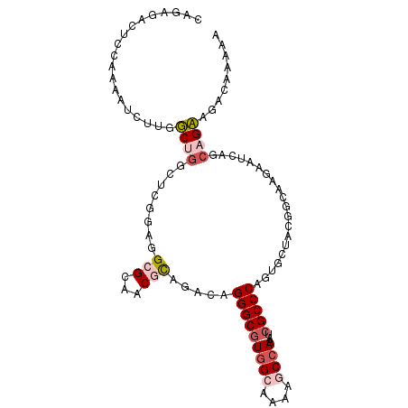 secondary structure