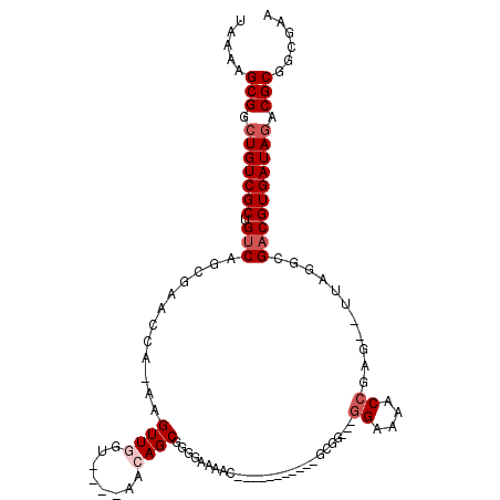 secondary structure