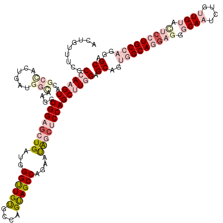 secondary structure