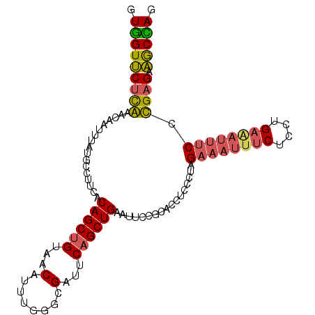secondary structure